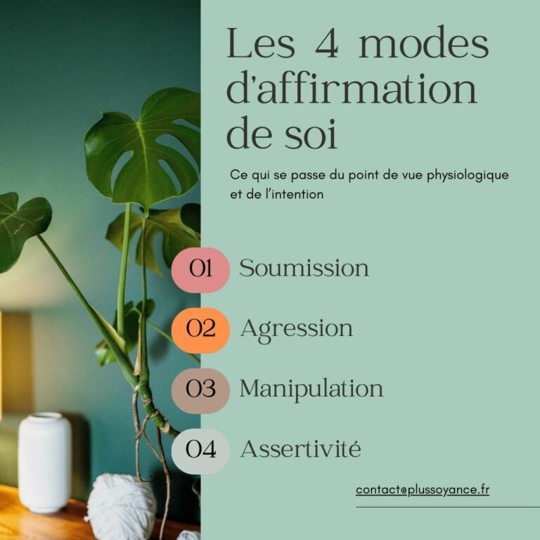 Les 4 modes d'affirmation de soi