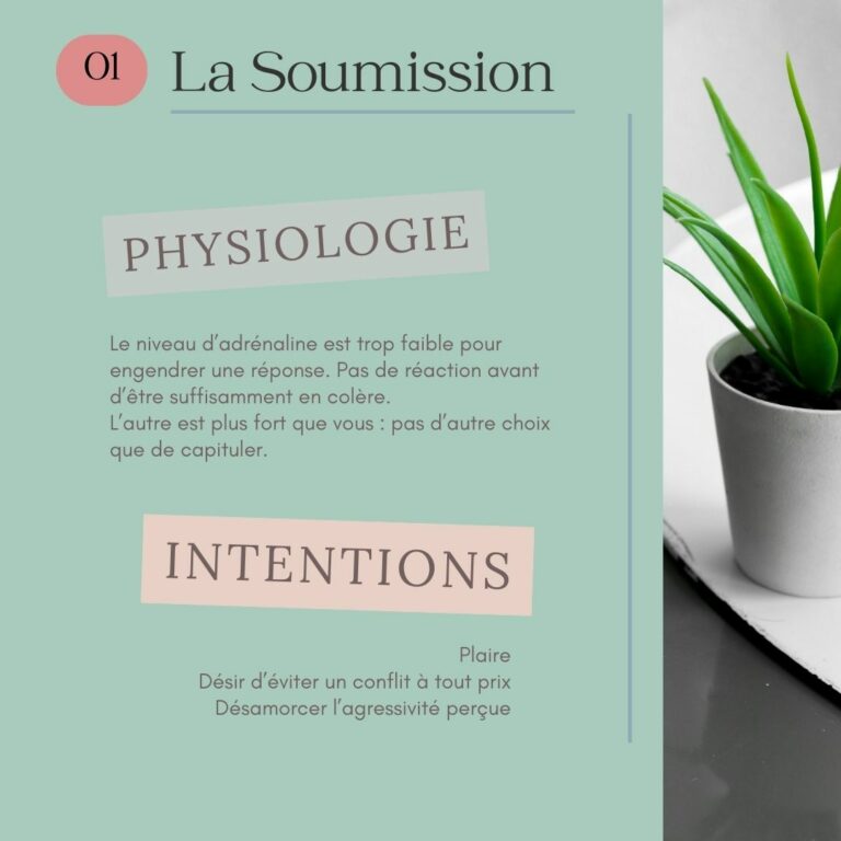 Les 4 modes d'affirmation de soi