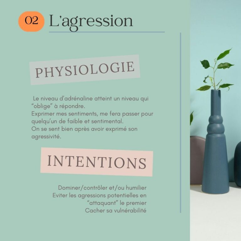 Les 4 modes d'affirmation de soi