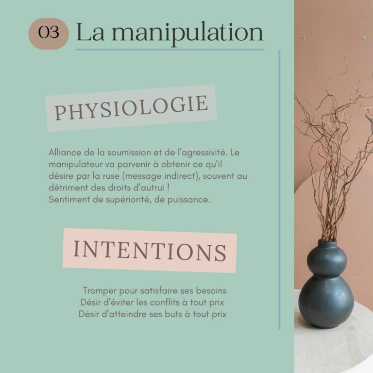 Les 4 modes d'affirmation de soi