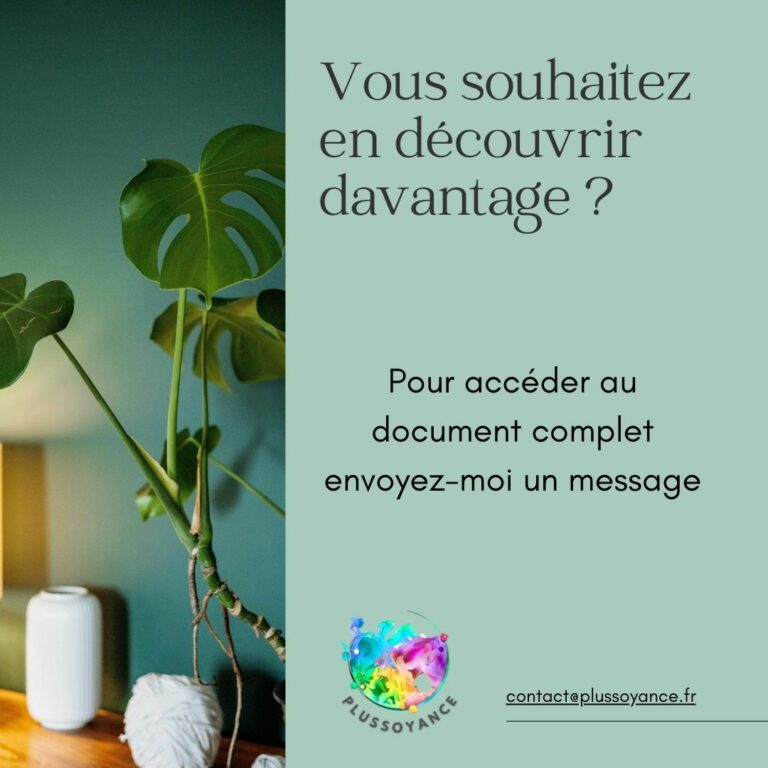 Les 4 modes d'affirmation de soi