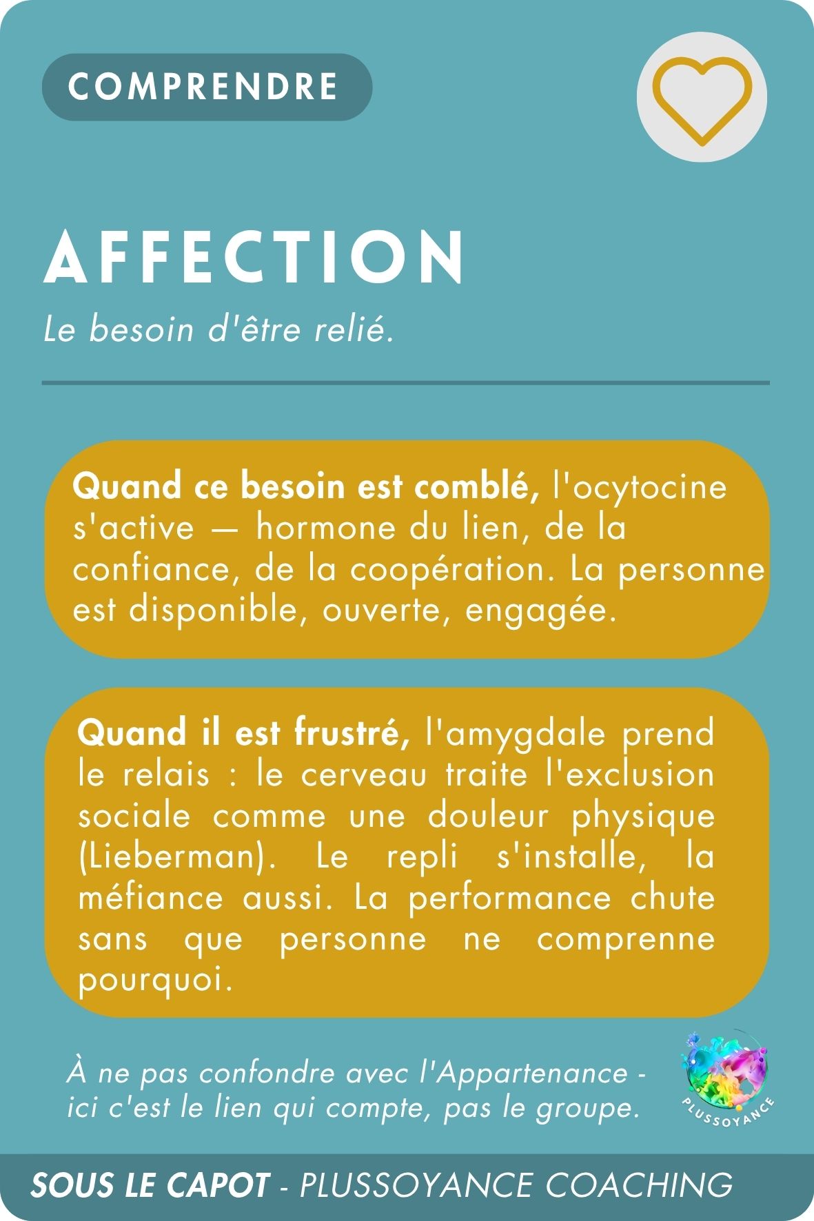 affection recto