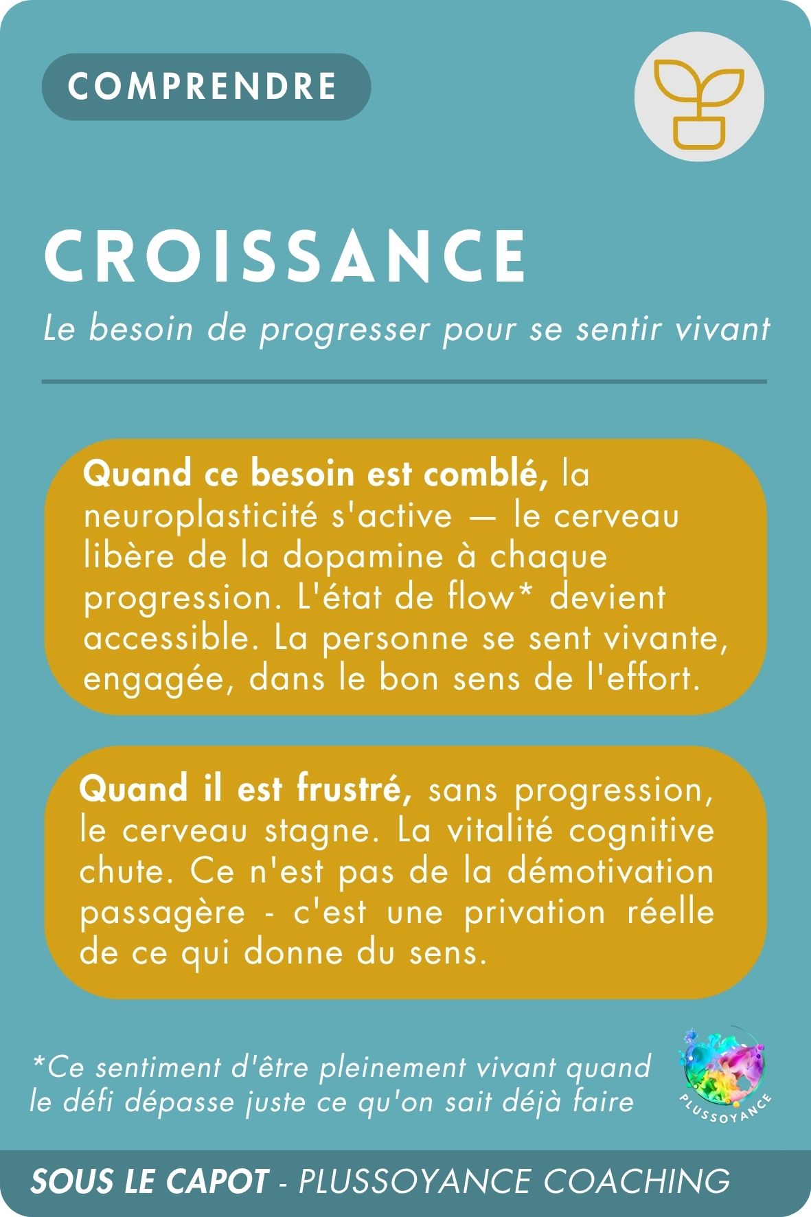 croissance recto