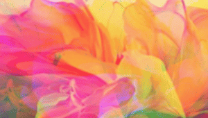 Test efficacité managériale